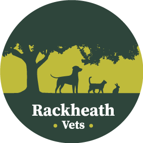 rackheathvets.co.uk