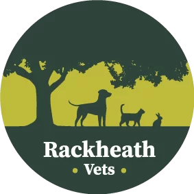 rackheathvets.co.uk