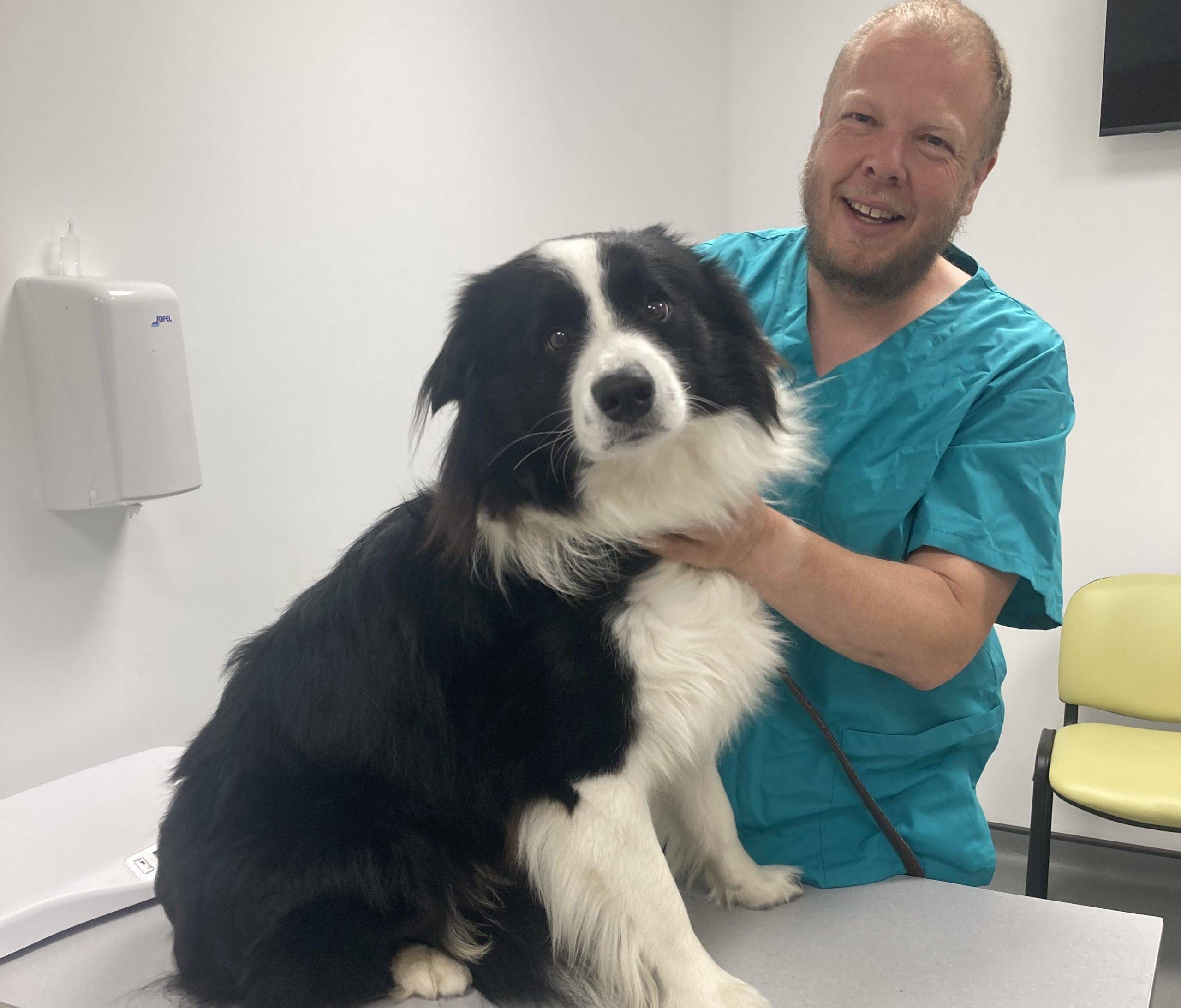 pet-vaccinations-near-me-rackheath-vets-norfolk
