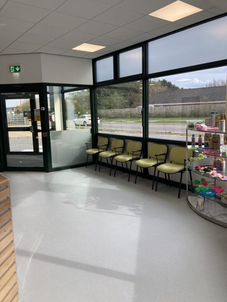 rackheath vets Dog Waiting Room