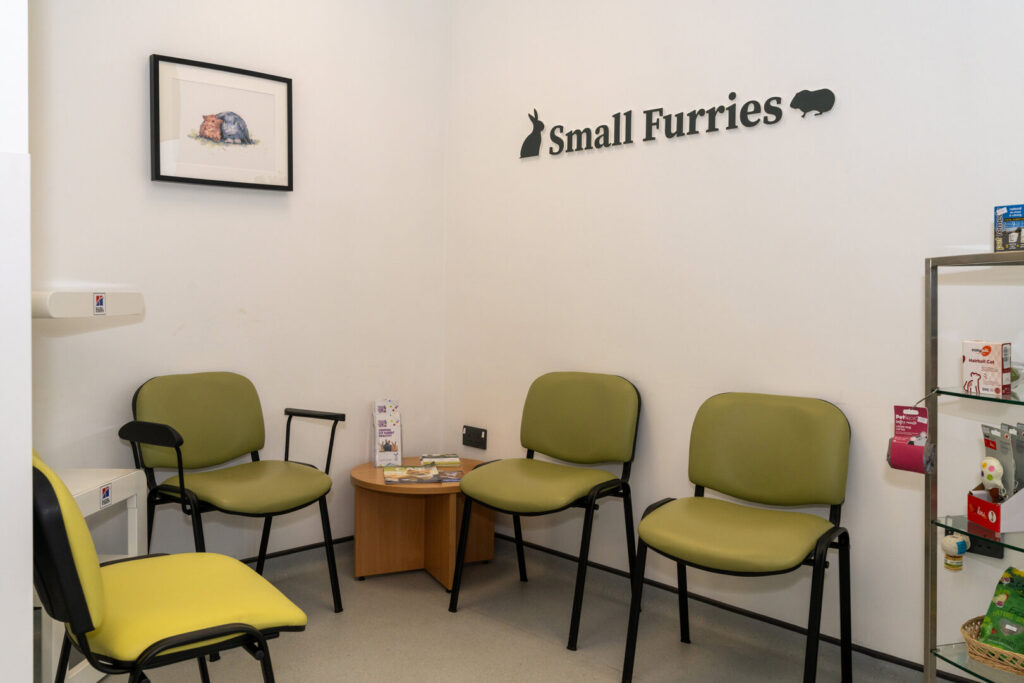 small furries waiting room rackheath vets