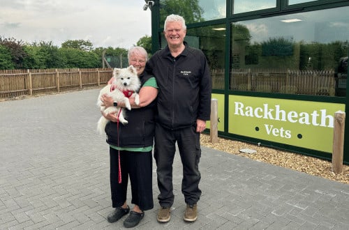 rackheath vets outside building
