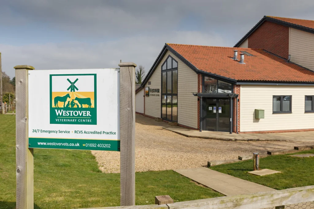 Out of Hours Emergency Pet Care Vets in Rackheath & Norwich
