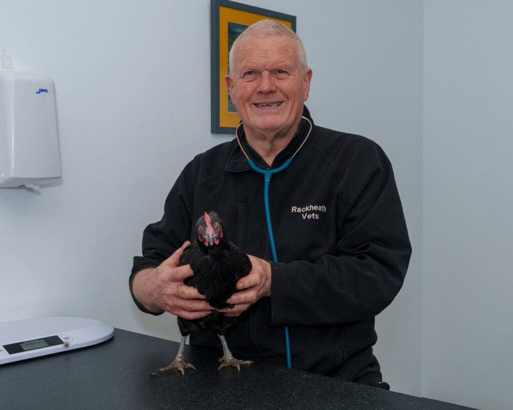 chicken at vets