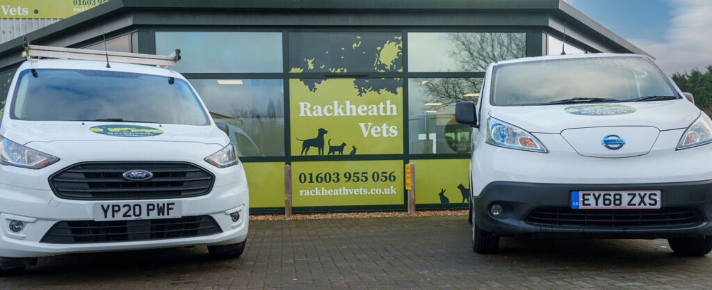 Local Vets in Rackheath, Norwich, Norfolk