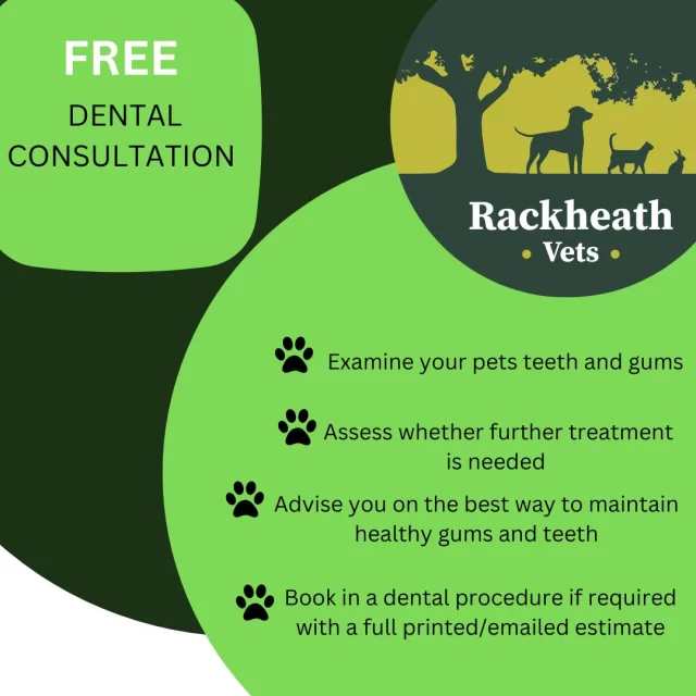 Due to popular demand, we are offering FREE Dental Check-ups!

Are you concerned about your dogs teeth or gums? 

If the answer is YES,  please give our reception team a call on 01603 955056 to arrange a free of charge consultation with a vet to check your pets teeth. 
During the check the vets will:
🐾 Examine your pets teeth and gums.
 🐾 Assess whether further treatment is needed. 
🐾 Advise you on the best way to maintain healthy gums and teeth.
🐾 Book in a dental procedure if required with a full printed/emailed estimate.
🐾 If you are a member of our Health Care Plan, you will receive 10% off the dental if needed.

 #dental #dentalhealth #dogdental #dogdentalcare #dogdentalhealth #dogdentalhygiene #dogdentalscaling #dogdentalcleaning #catdental #CatDentalCare #catdentalcare #catdentalhealth #catdentalcleaning #catdentals #catdentalhealth #catdentalsurgery #catdentalhygiene #vets #NorwichVets #rackheathvets #independent #dogteeth #dogteethcare #dogteethclean #catteeth #catteethclean